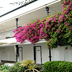 Mola Cunda Hotel